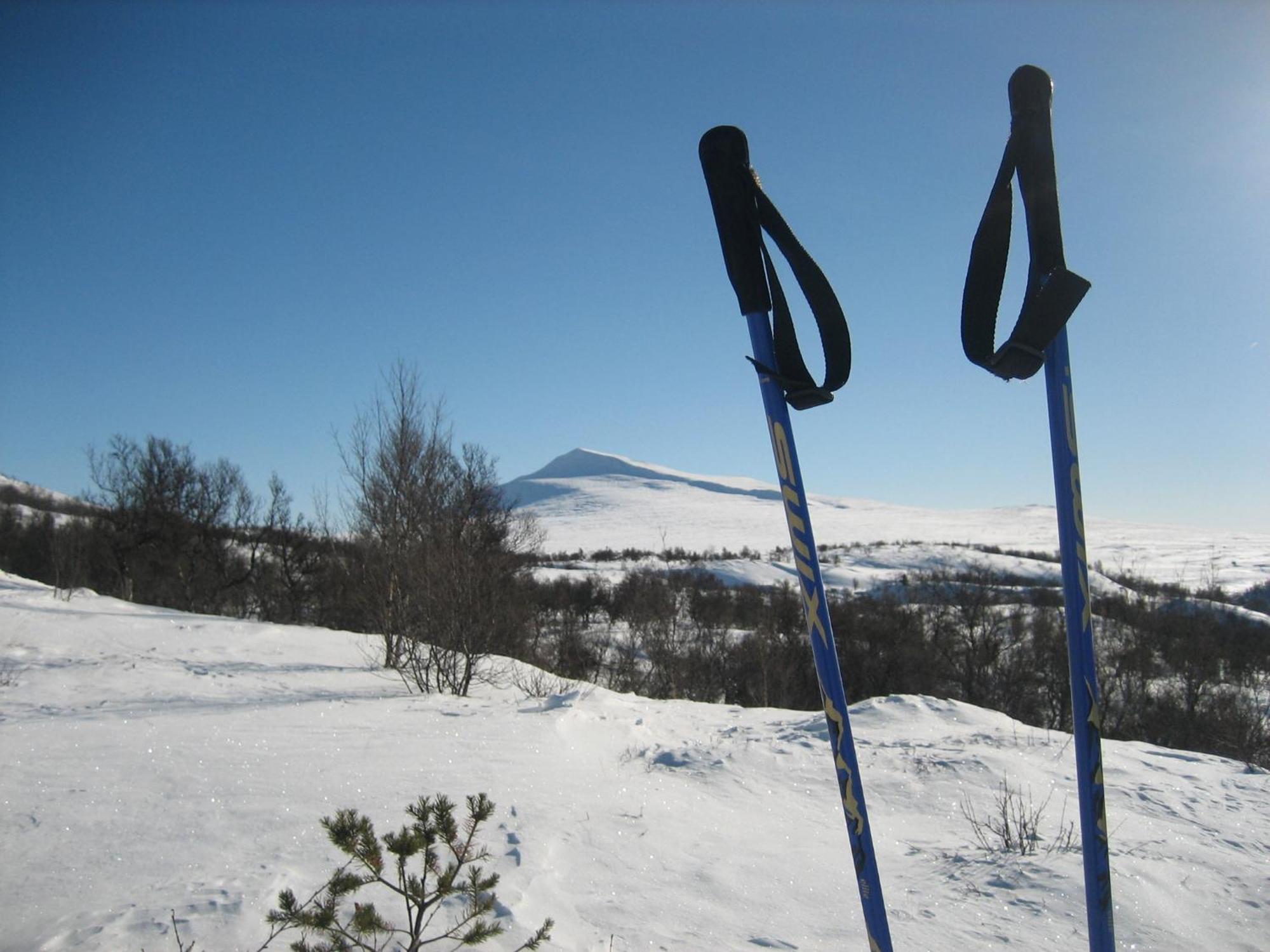 Hovringen Fjellstue Hotel Buitenkant foto